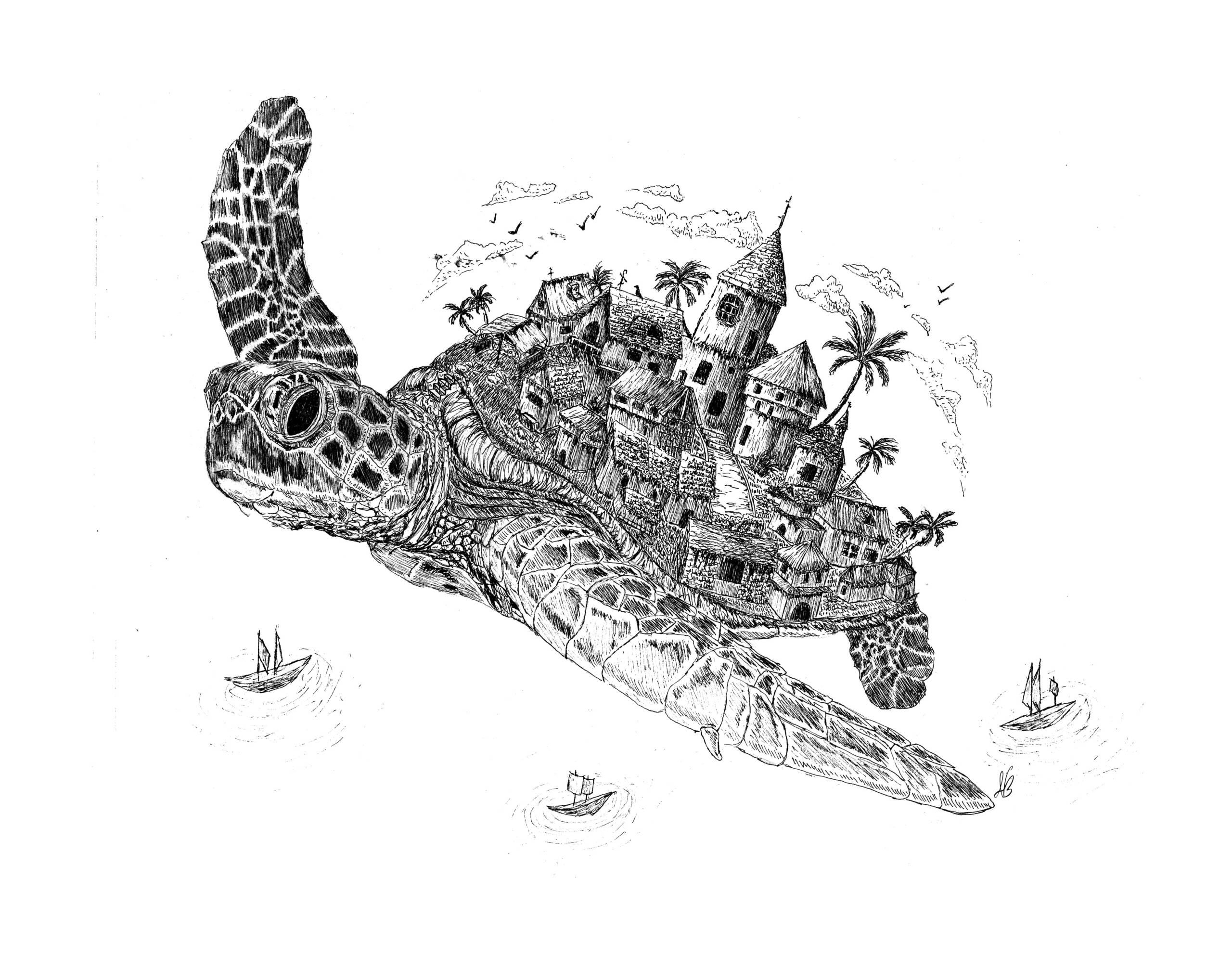 Turtle Town