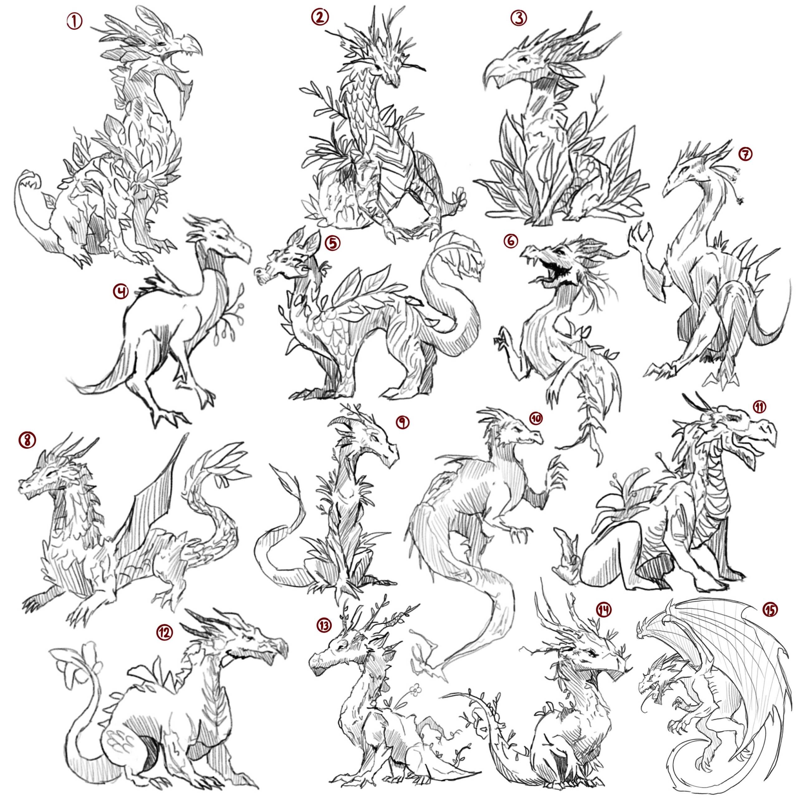 Dragon Concepts